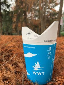 ButterflyCup Plastic-free lidless disposable cup launches in UK