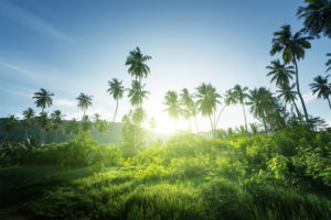 Mondi 1 Mondelēz International sets science-based targets to reduce emissions and create sustainable future for snacking