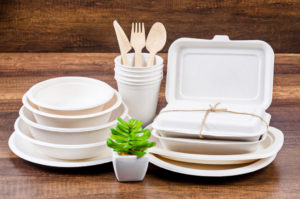 bagasse 02 Herald expands biodegradable range for 2020 