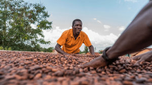 capture 2 Swiss cocoa industry commits to sustainable cocoa