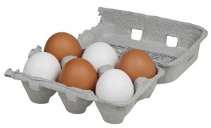 eggs