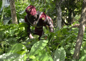 mondi Mondelēz International scales up action on forest protection, climate change and emissions reduction