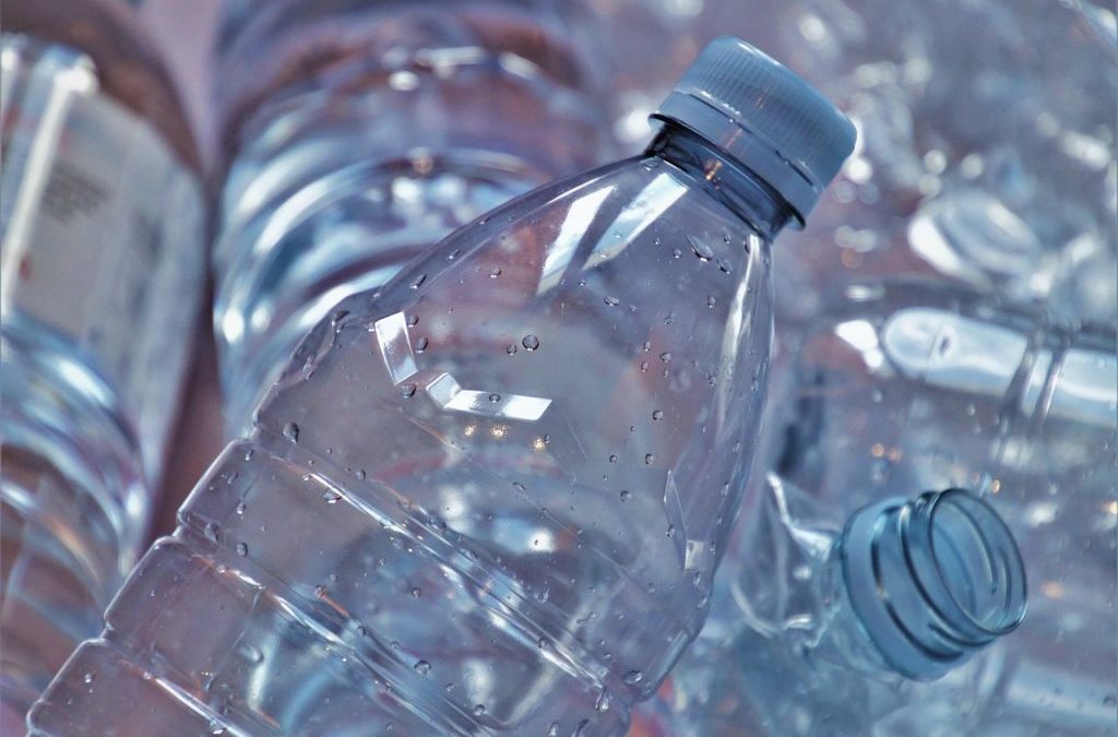 The environment cannot wait another day’ says charity chief
